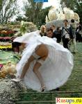 Скачать бесплатно фотки под юбку на свадьбе